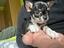 Immagine 1