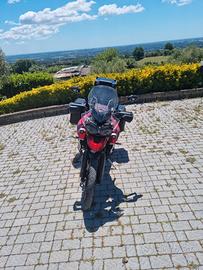 TRIUMPH TIGER 800 XCA 2019