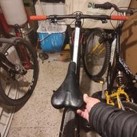 Mtb Olympia drake 29 M