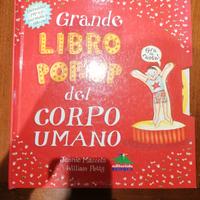 libro corpo umano pop-up