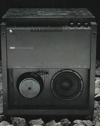 Subwoofer audio pro B2 50