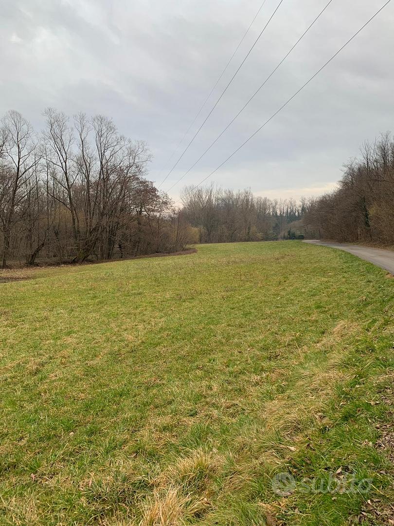 Terreno agricolo Missaglia - Vista 3