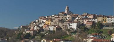 Terreno edificabile a Fivizzano - Gassano