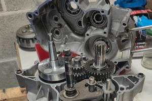 blocco motore  am6 minarelli 50