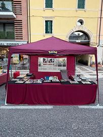 Carte Pokémon all'antiquariato a Villafranca 