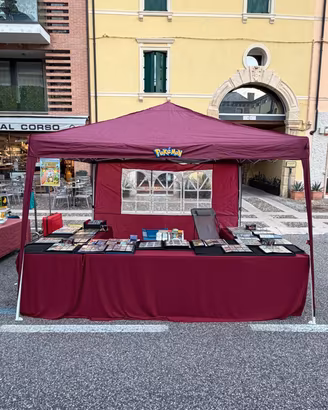 Carte Pokémon all'antiquariato a Villafranca 