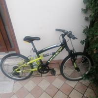 bicicletta da bambino. 