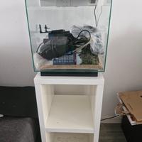 acquario Askoll Pure Led M