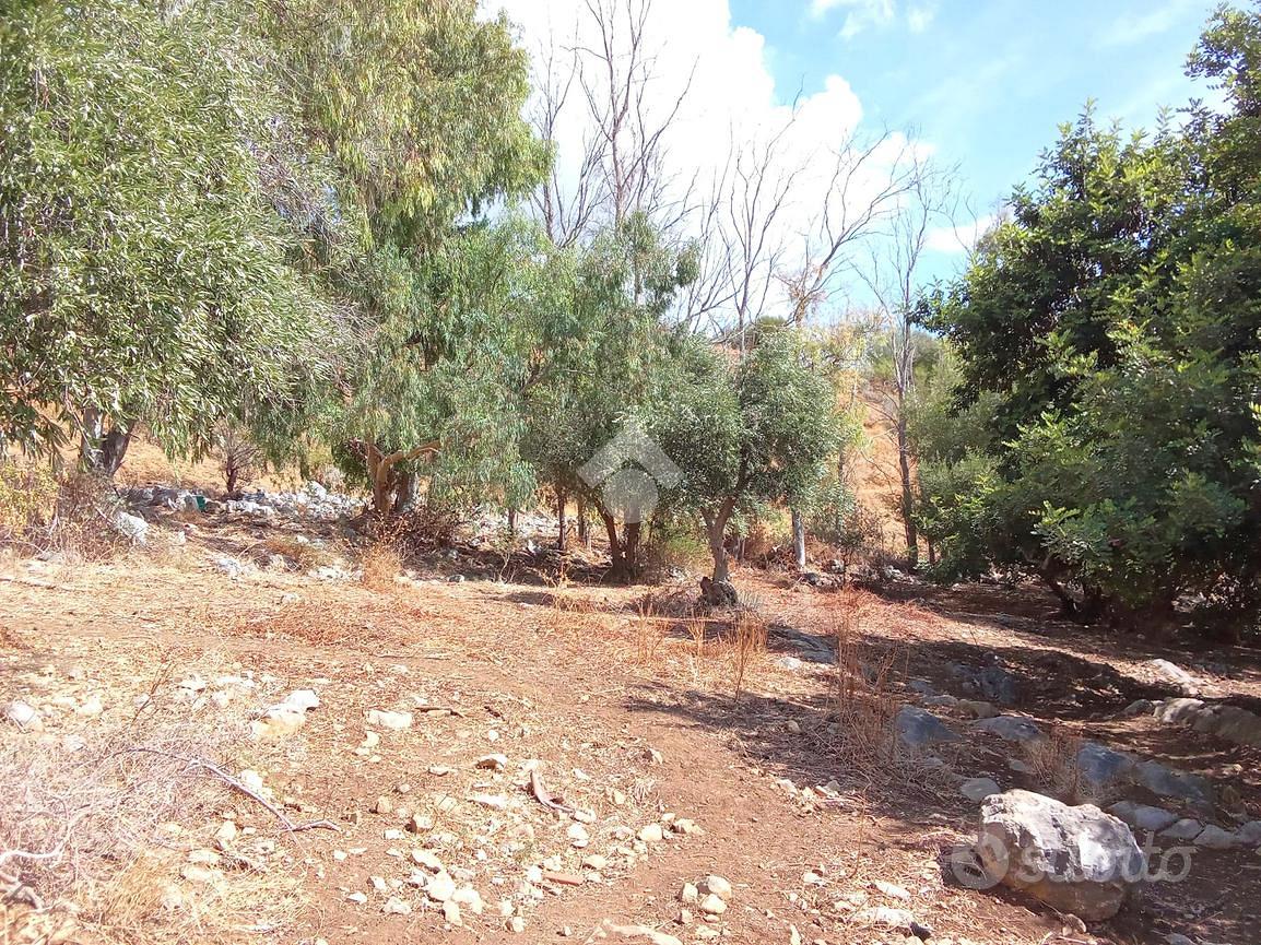 TERRENO A PALERMO - Vista 4