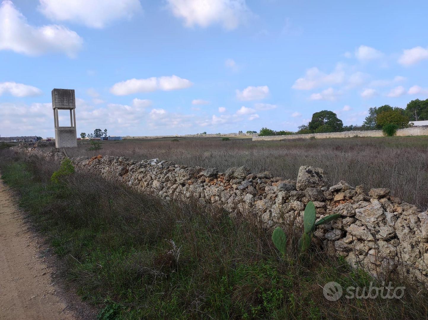Terreno agricolo ed edificabile - Vista 3
