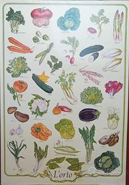 Poster Vintage didattico 68x98 Verdure dell'orto 