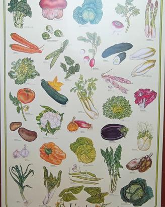 Poster Vintage didattico 68x98 Verdure dell'orto 