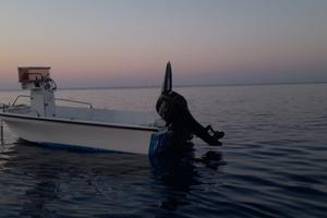 Barca nuova con motore