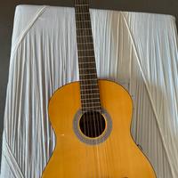 Chitarra acustica