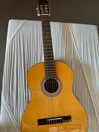 Chitarra acustica
