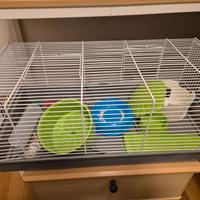 Gabbia per criceto e accessori