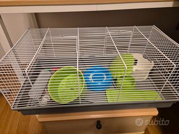 Gabbia per criceto e accessori