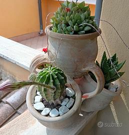 Vaso con piante