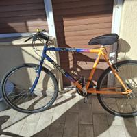 Bici bambino o adolescente