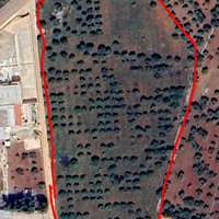 Terreno parzialmente edificabile con trullo