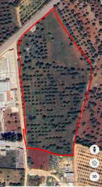 Terreno parzialmente edificabile con trullo