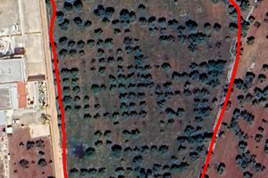 Terreno parzialmente edificabile con trullo