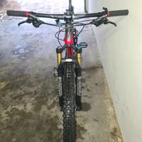Bicicletta da enduro bioammortizzata