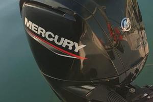 Mercury F 100 ELPT CT 100 CV