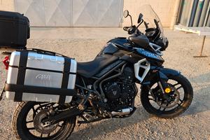 triumph tiger  800xrx