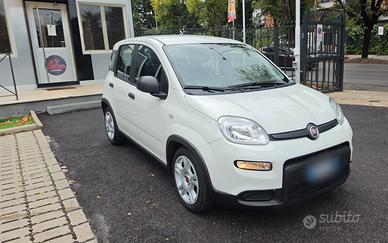 Fiat Panda 1.0 FireFly S&S Hybrid Prezzo in PROMO