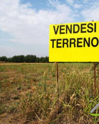TERRENO AGRICOLO