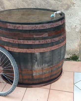 Botti in rovere