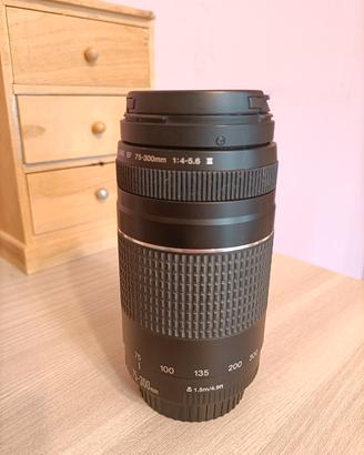Canon D1100+zoom 300mm