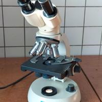 microscopio Zeiss 