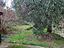 Immagine 28