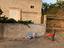 Immagine 3