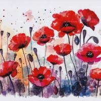 Stampa acquerello papaveri
