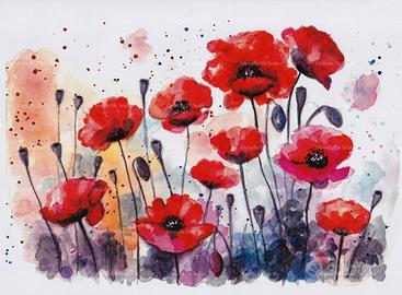 Stampa acquerello papaveri