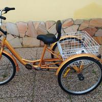 Bicicletta a tre ruote per adulti. 