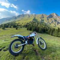 Fantin trial 301 Progress 2