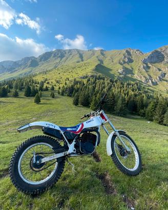 Fantin trial 301 Progress 2