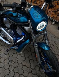 HARLEY-DAVIDSON VROD VRSCB LIMITED EDITION