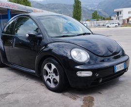 New beetle