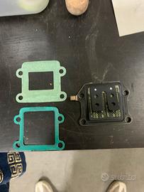 pacco lamellare malossi vl10 minarelli verticale