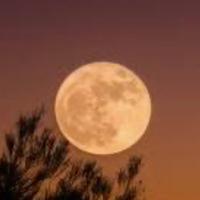 PREFERIREI lavoro SERA o NOTTE: Pg Deruta Todi