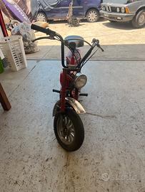Moto mini califfo atala
