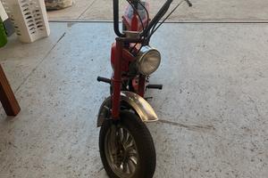 Moto mini califfo atala