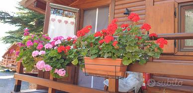 Chalet in legno Claviere