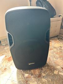 Cassa amplificata Gemini AS-12P
