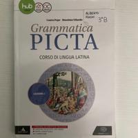 Grammatica picta